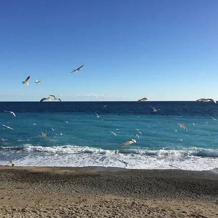 Daire Nice, Face A La Mer *
